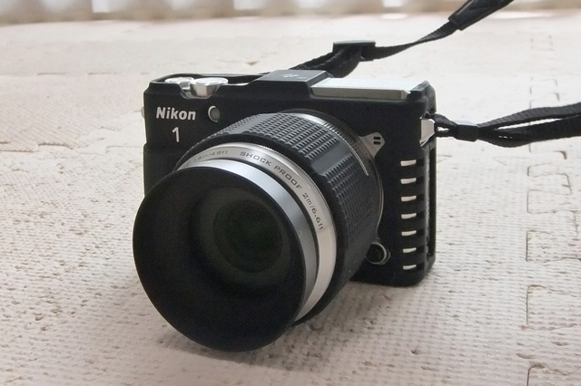 DSCF3469c.jpg