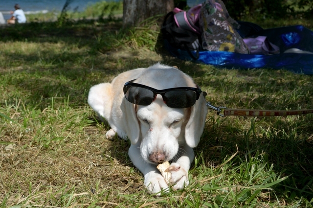 DSC_0167c.jpg