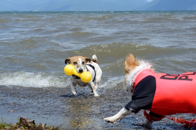 DSC_0421c.jpg
