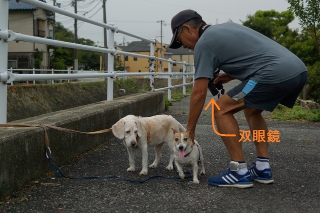 DSC_7857c.jpg