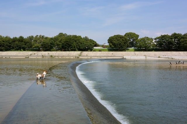 DSC_8425c.jpg